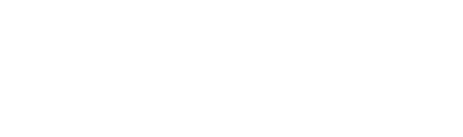 Black and white BSV logo with a pattern of circles on the left and the letters BSV on the right.