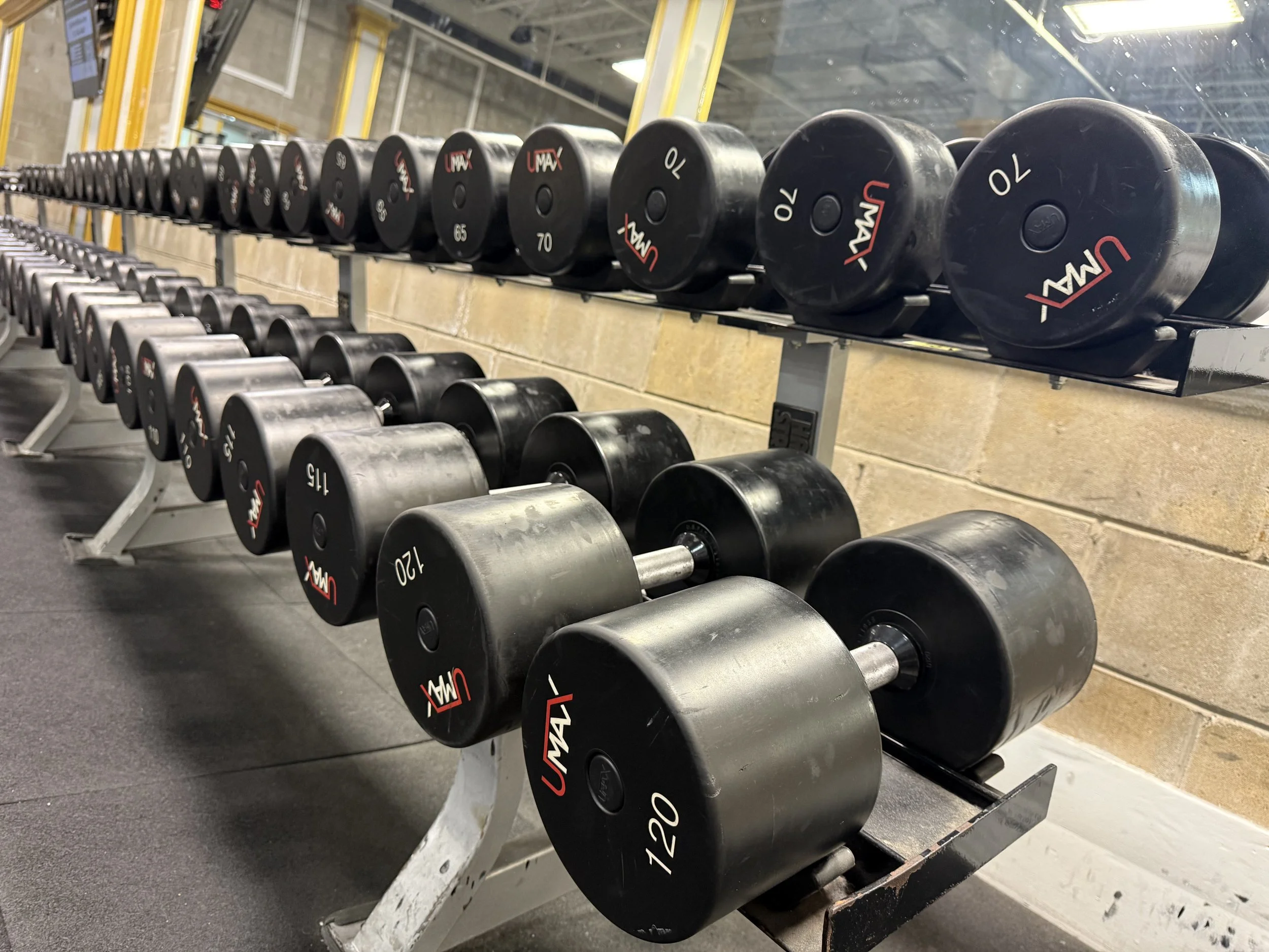 FREE WEIGHTS