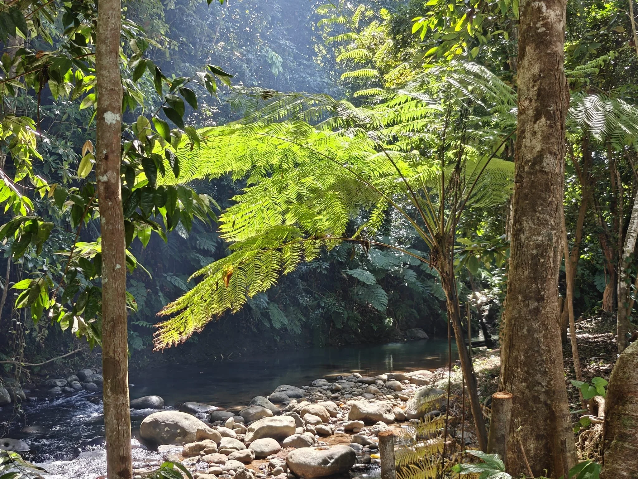 Hodges River
