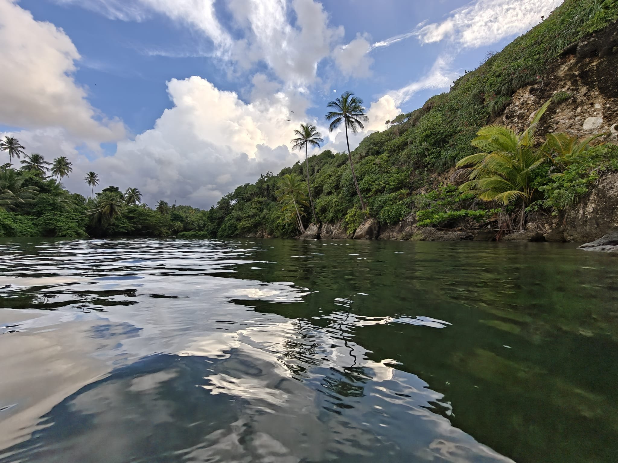Number 1 Beach and River, Bense