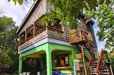 Pointe Baptiste Estate Dominica47.jpg