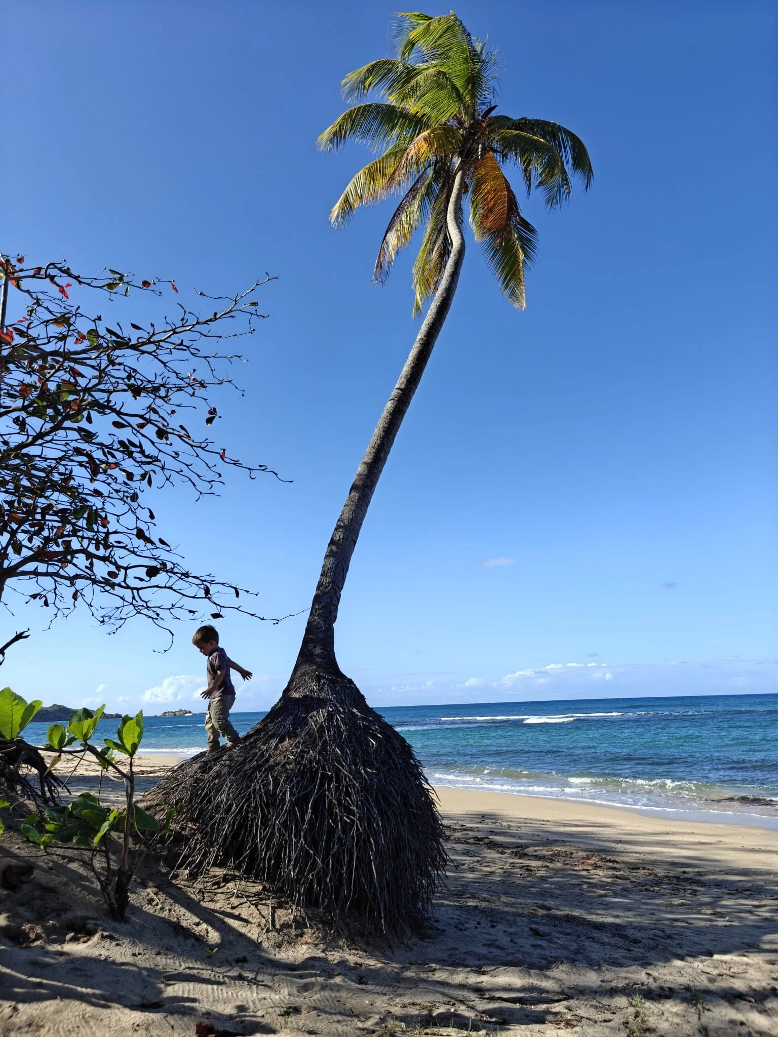 Woodfordhill Beach