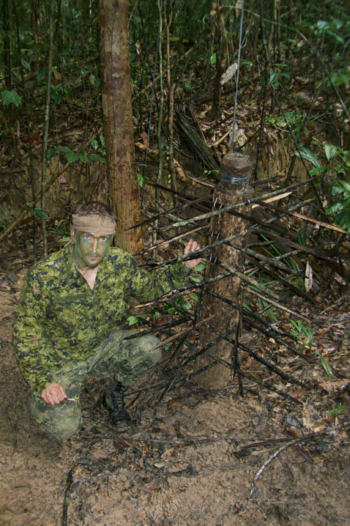 La Jungle du Brunei et de la Malaisie