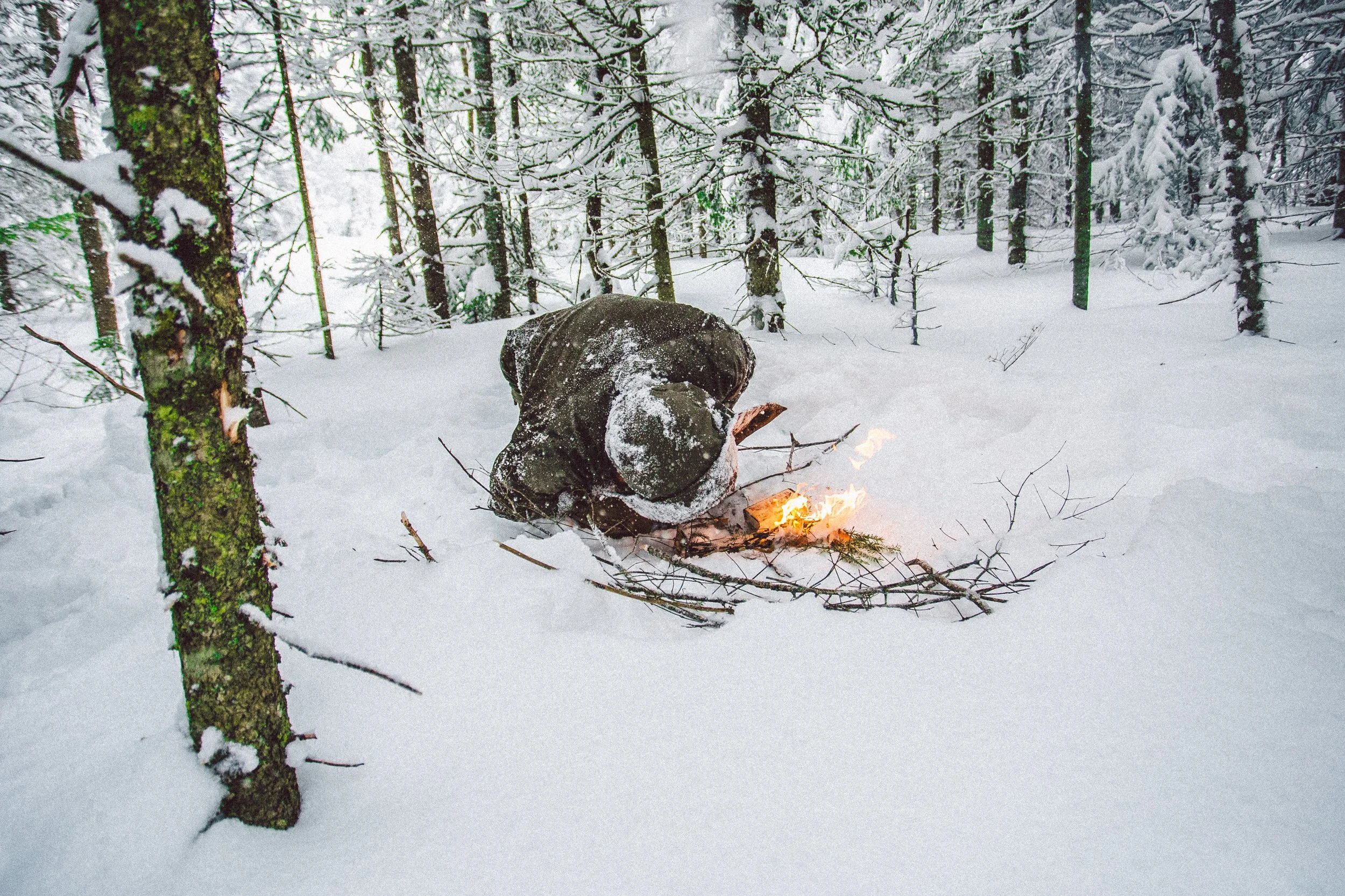 Cours de survie au Québec : comment choisir sa formation