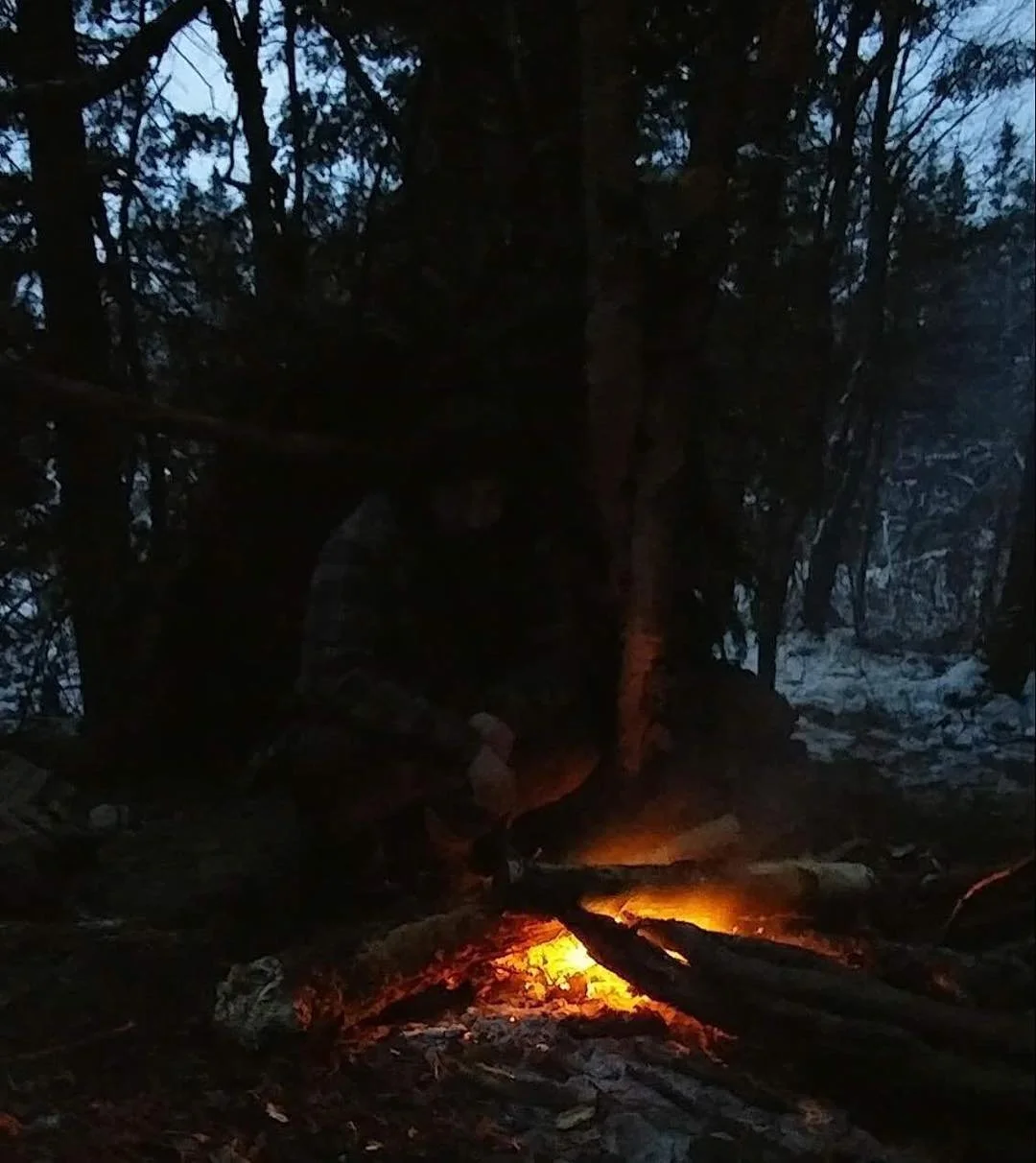 formation survie base feu forêt nuit québec black wolf survival