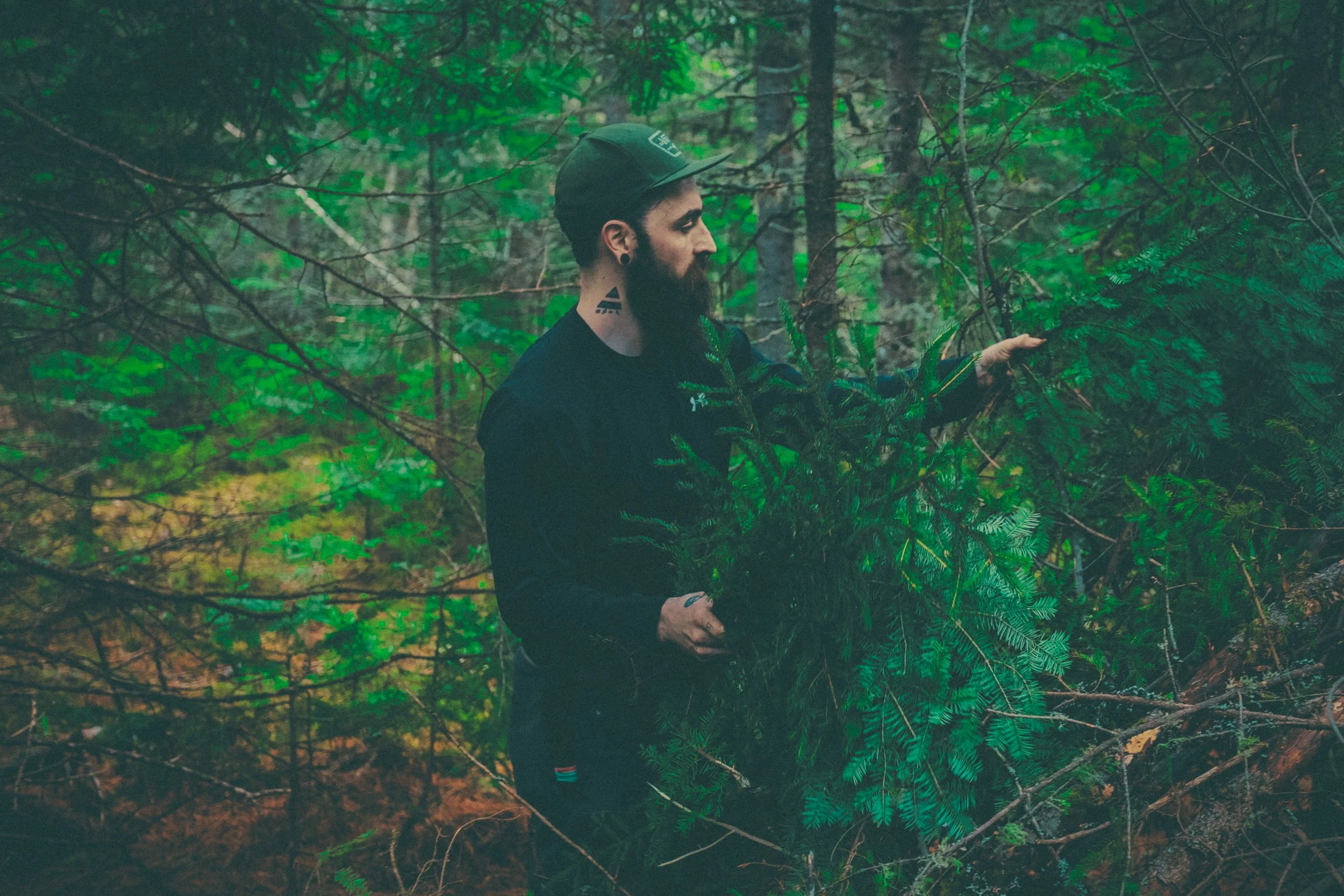 survie en forêt débutant abri construction québec