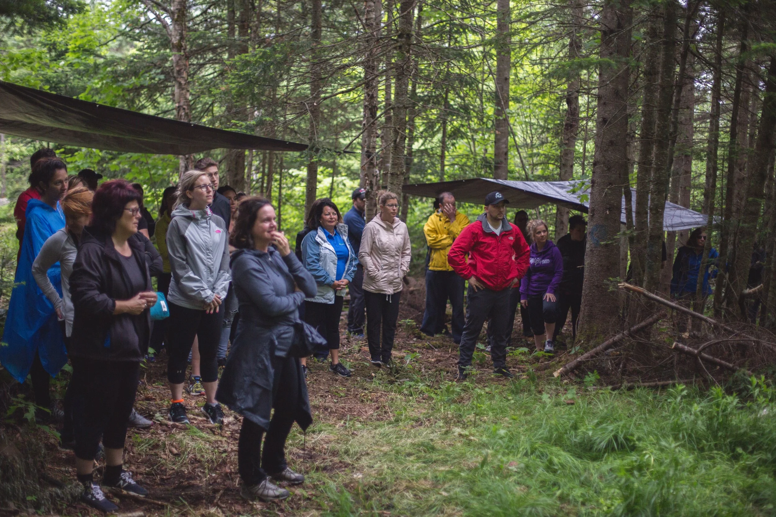 team building entreprise survie forêt québec black wolf survival