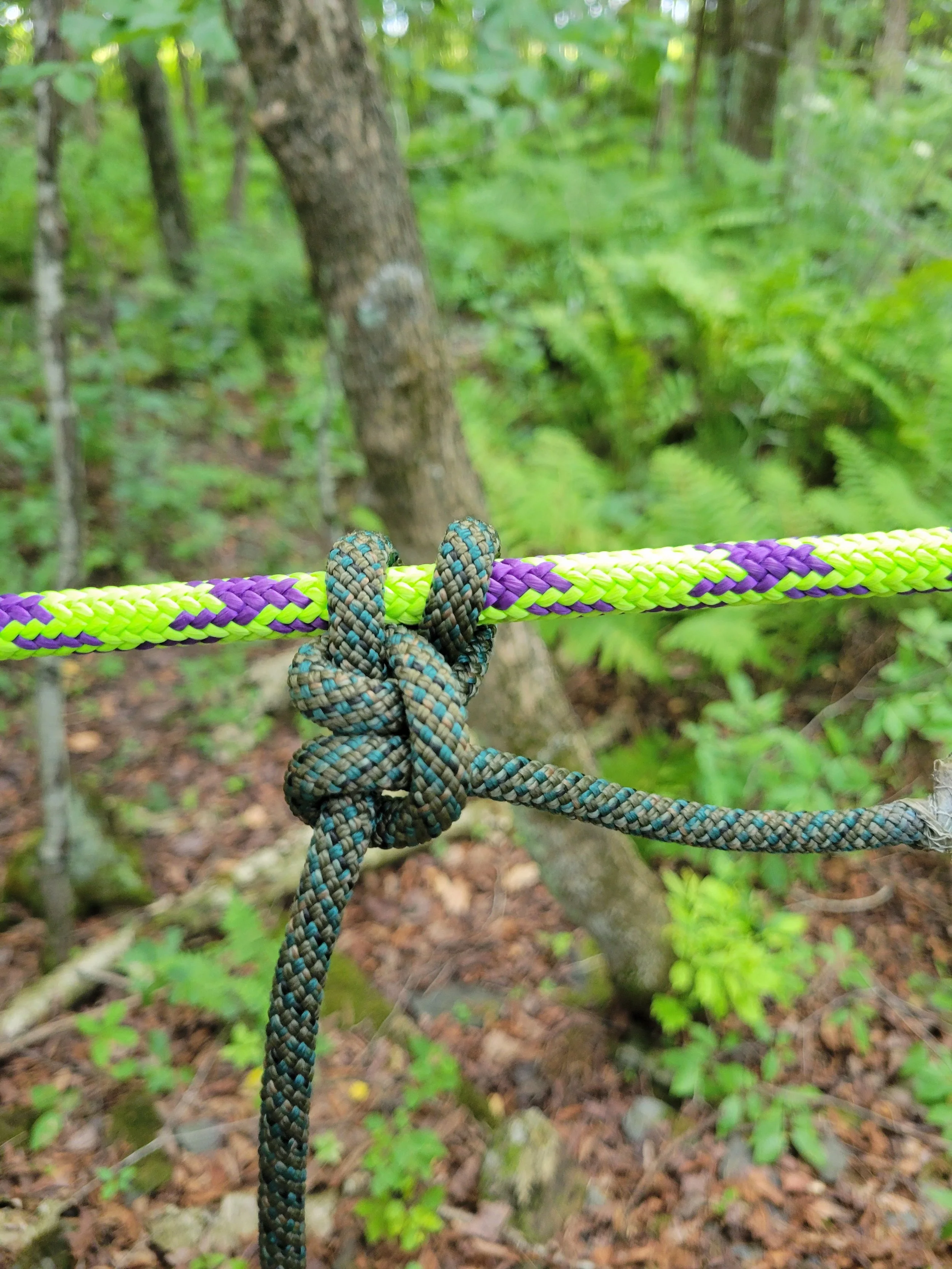noeuds formation survie rite des bois forêt