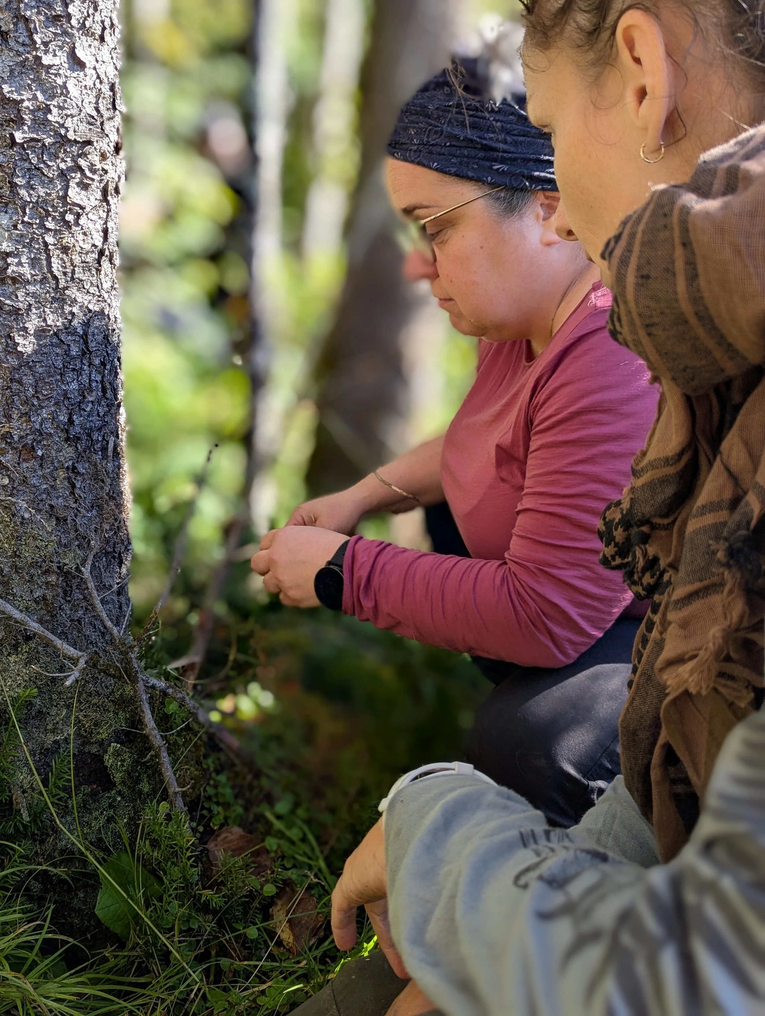 groupe participants formation survie forêt boréale
