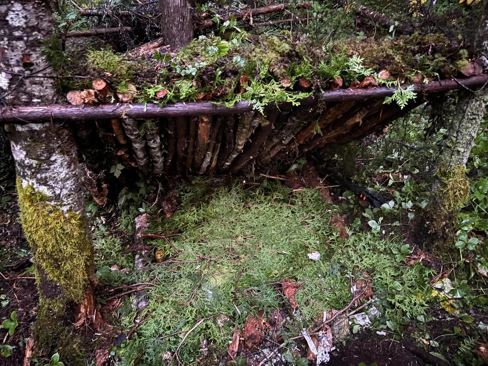 abri survie forêt nuit plein air québec