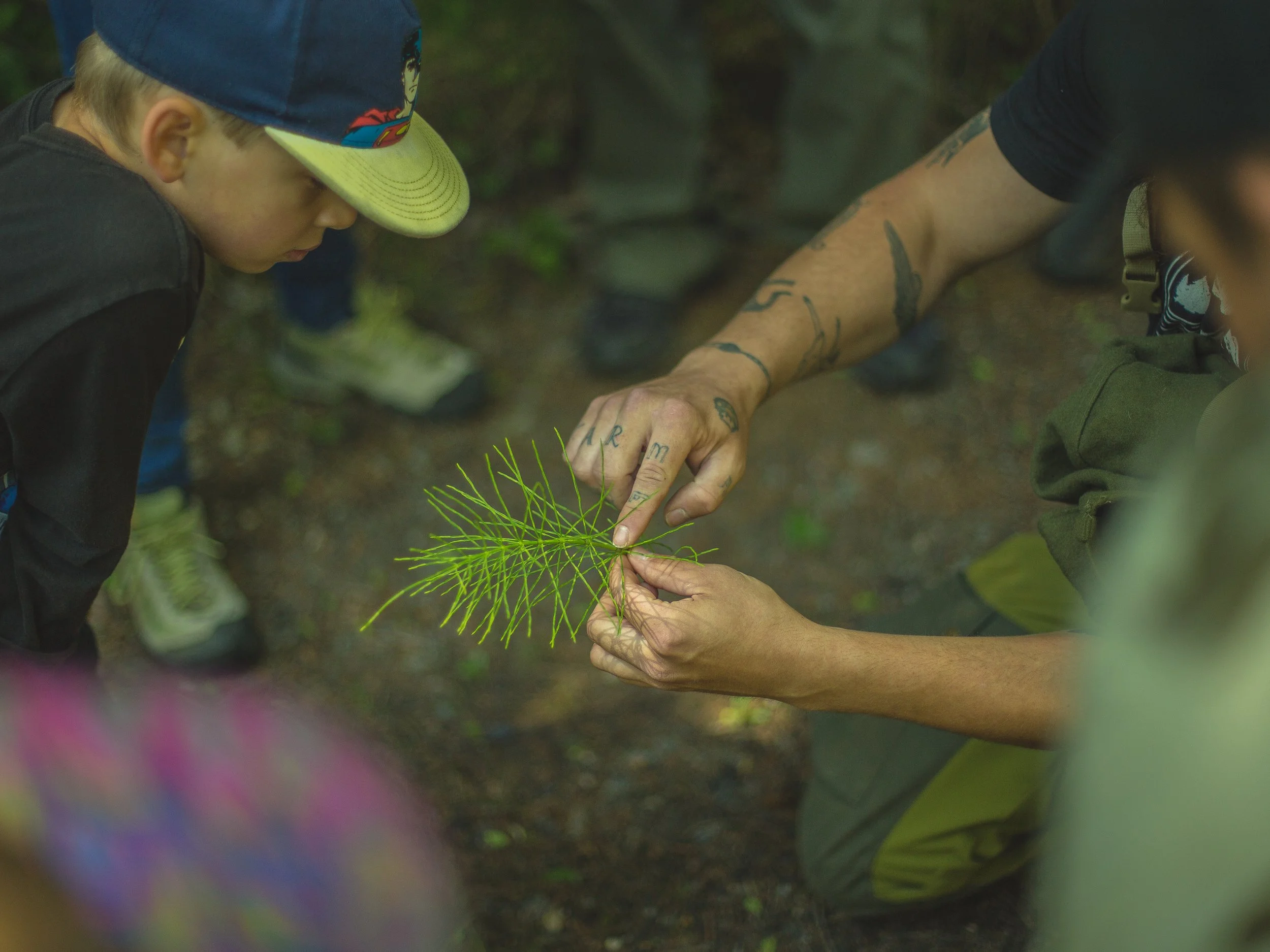 parent enfant construction abri forêt survie québec