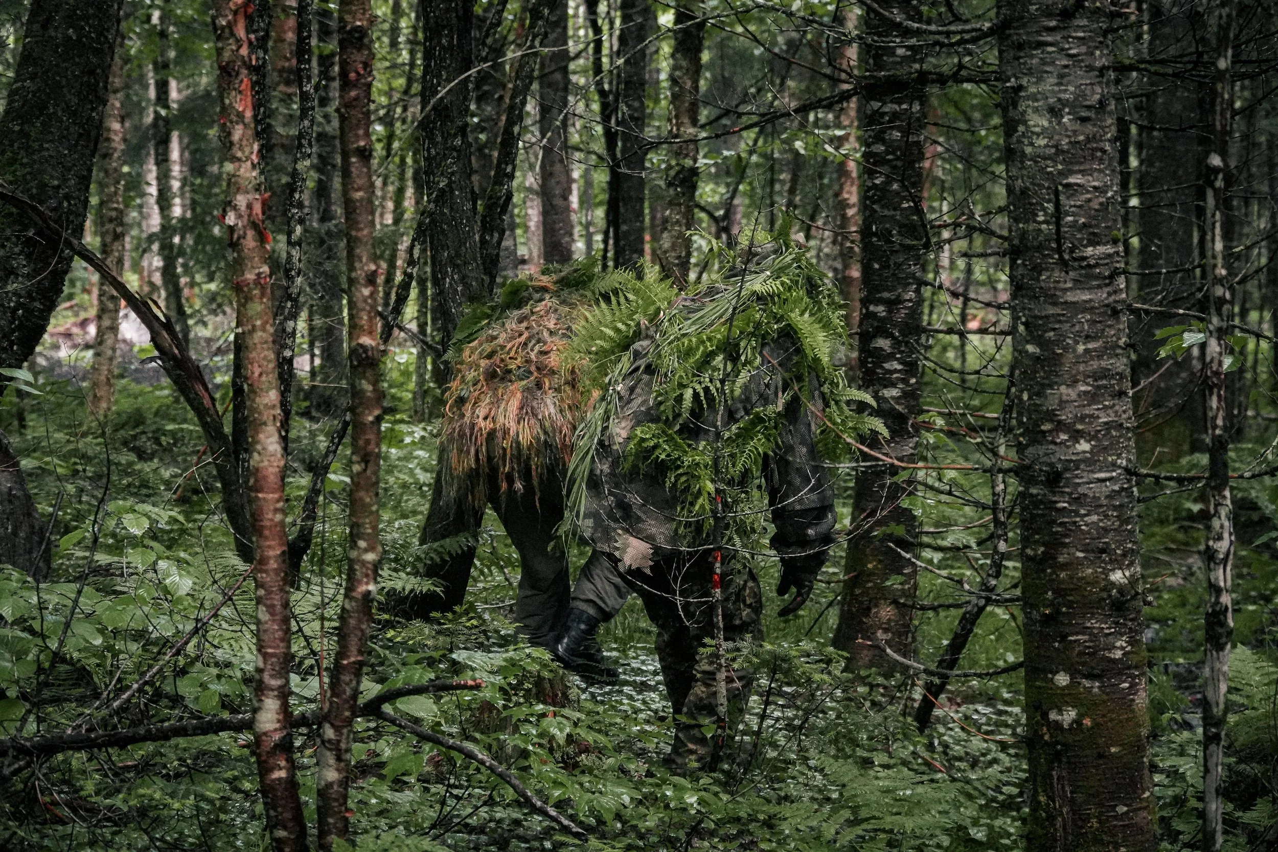 camouflage survie evasion observation bushcraft