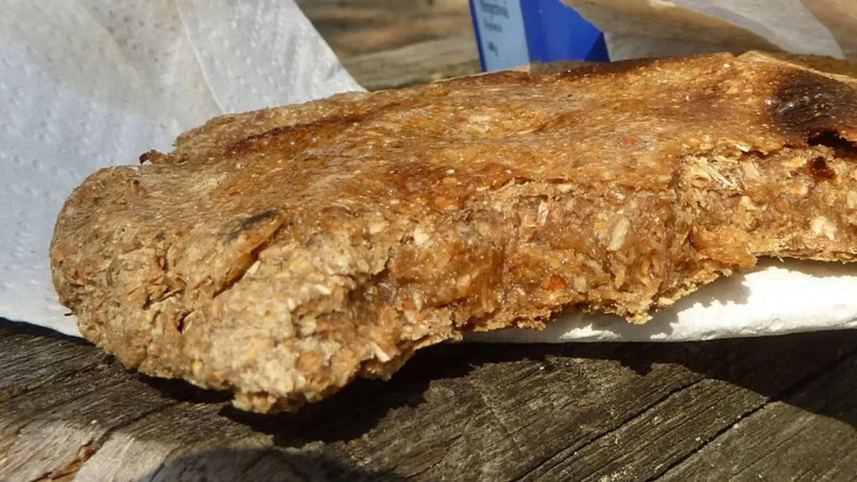 écorce interne sapin pin comestible survie forêt québec