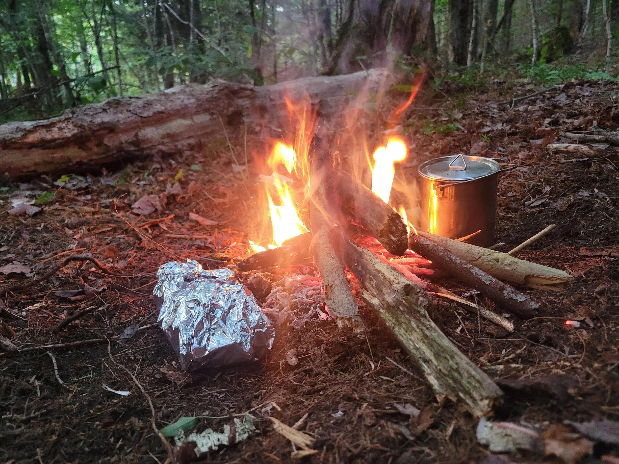 participante formation survie rite des bois forêt nuit québec