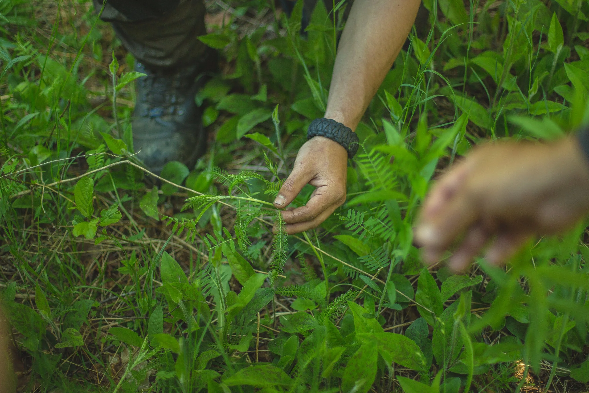 Redbeard090618 (9 of 57).jpg