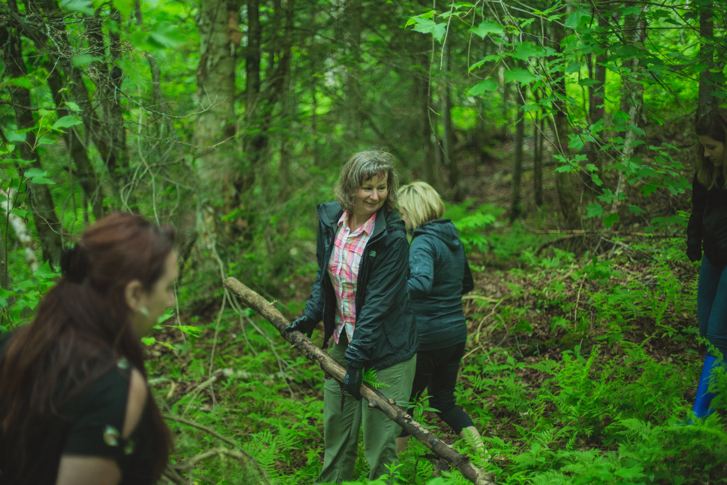 défi équipe corporatif construction abri forêt nature