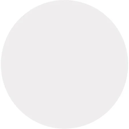 Empty gray circle on white background.
