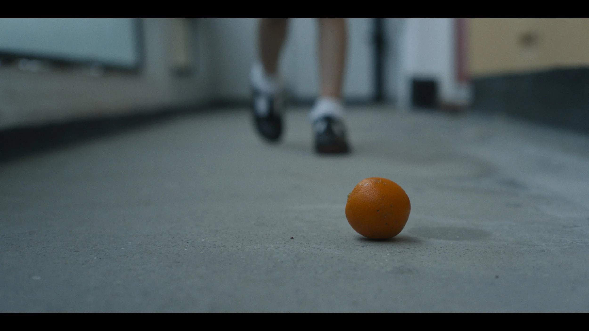 10.05.40.06 Orange.jpg