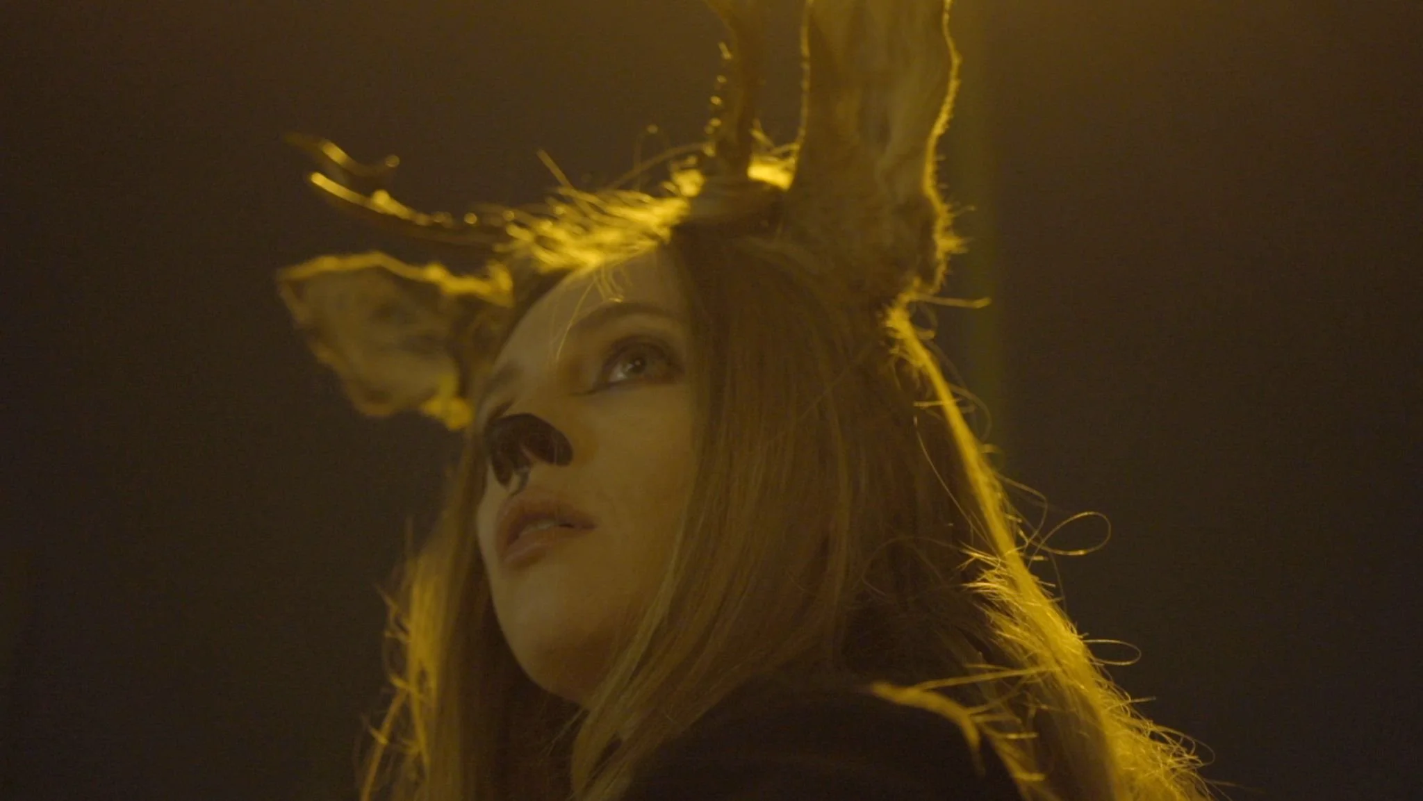 WhatsApp Image 2023-03-01 at 22.54.56 (1).jpeg