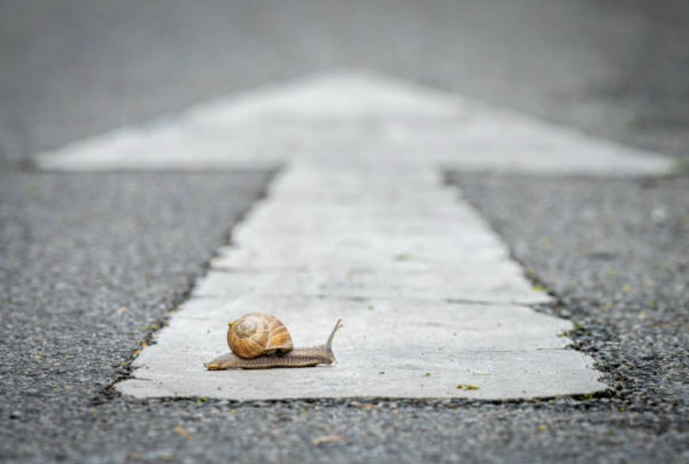 February 2026 - Early Deceleration: Where It’s Now Visible