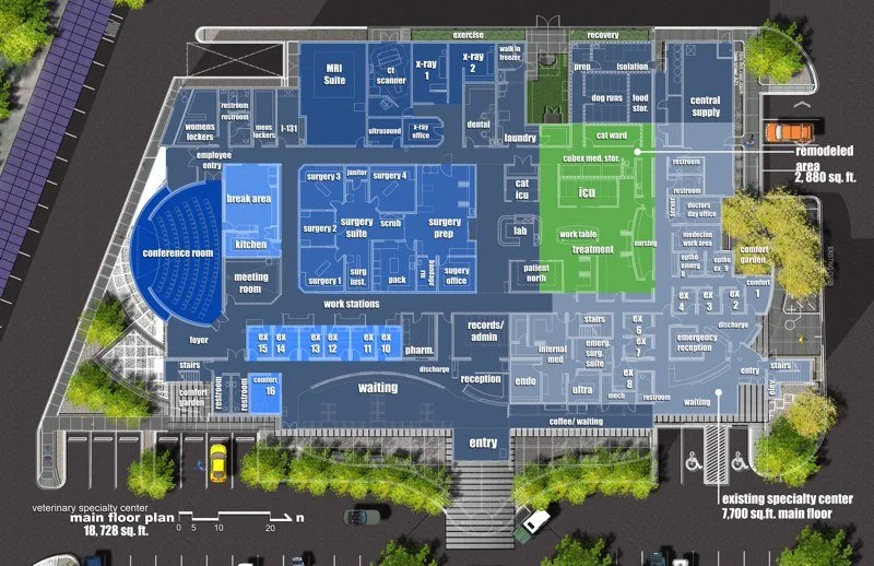 VSCT_color_main floor.jpg