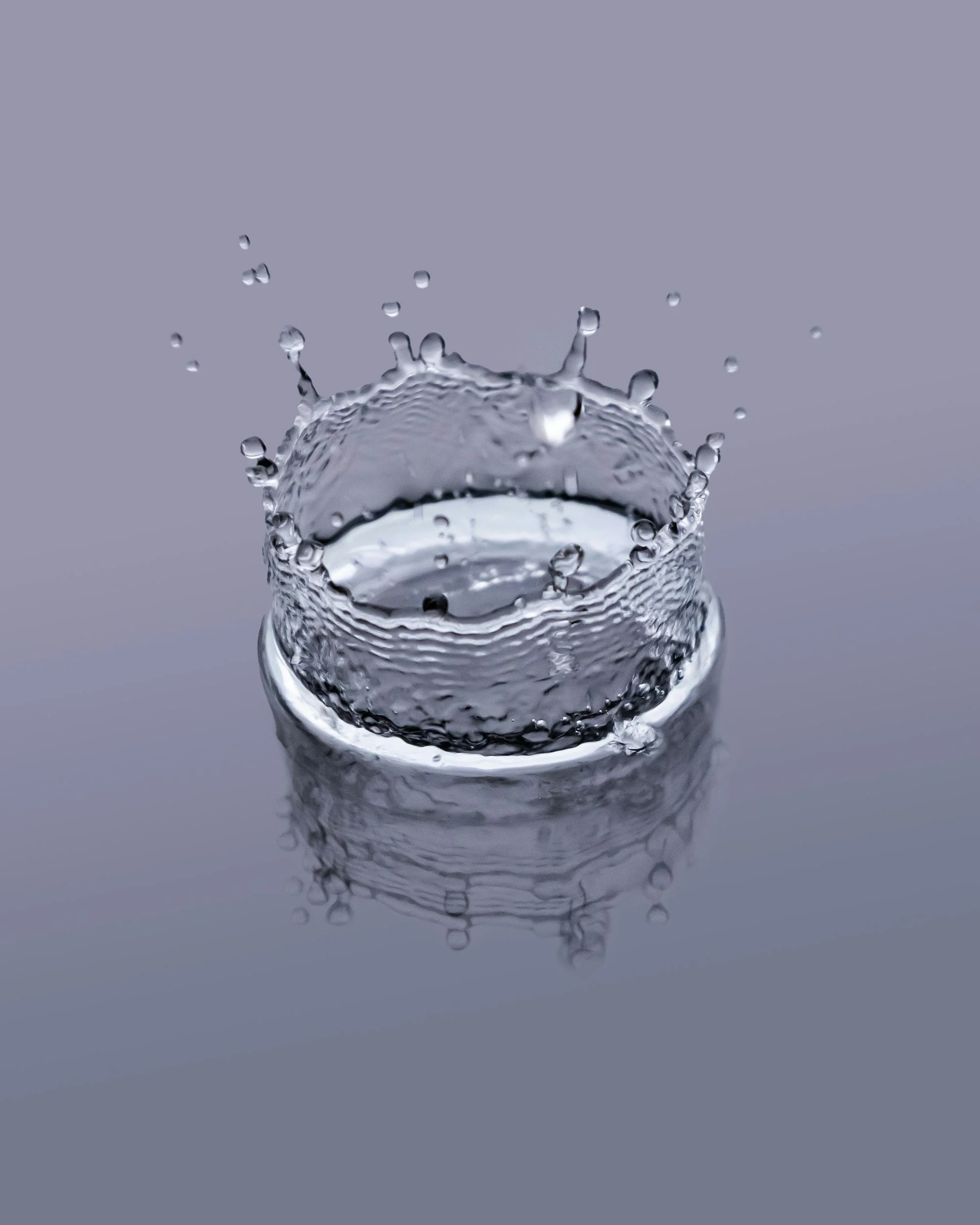 Cellular Hydration, Coherence, and the Living Intelligence of Water