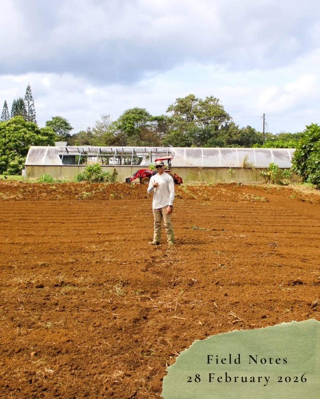 Field Notes
28 February 2026:

First half of the field has been tilled. Fungal hyphae structures have probably been destroyed and microbial communities disrupted. We&rsquo;ll have to amend the soil and work to rebuild and restore these communities in
