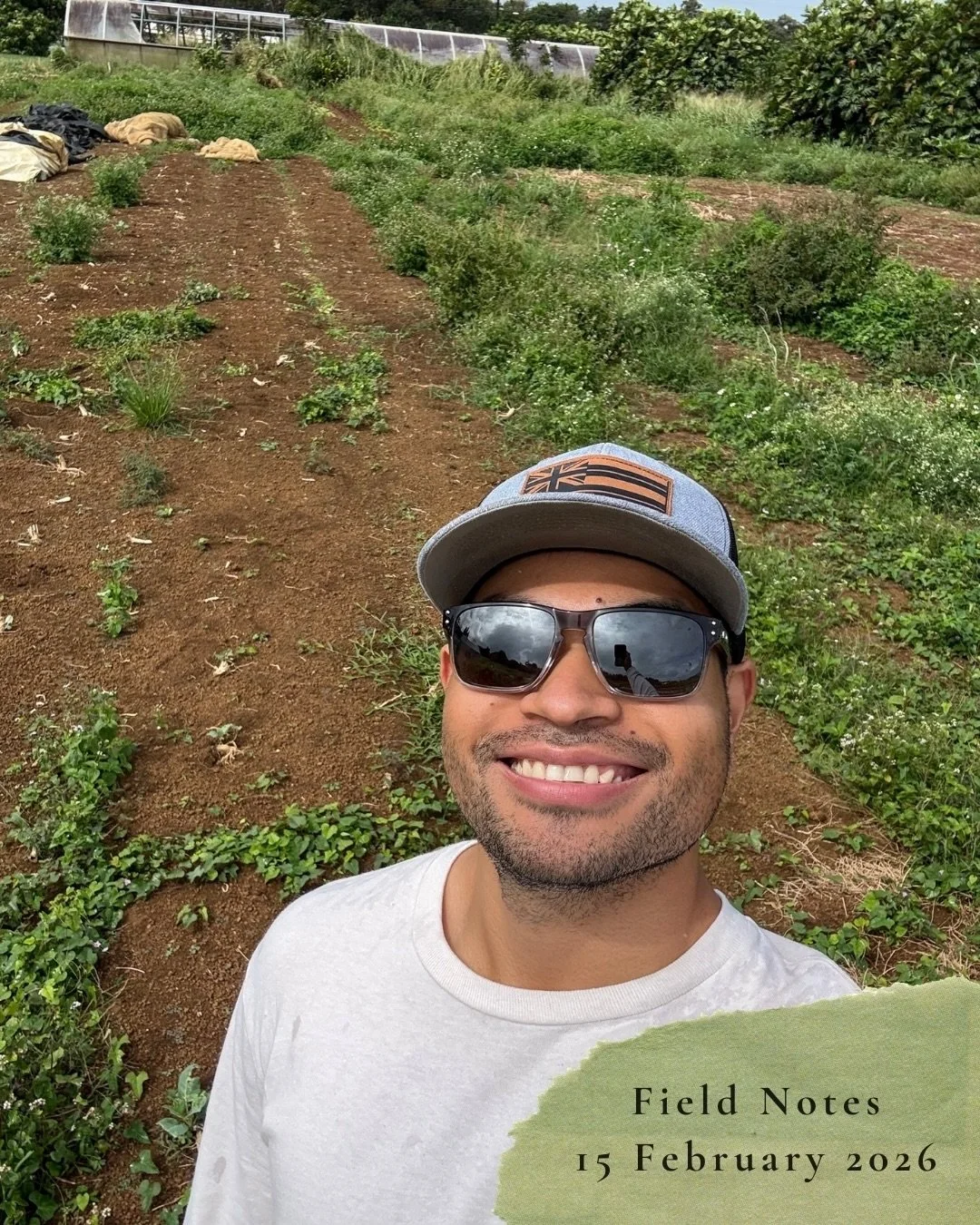 Field Notes
15 February, 2026:

Scoping out the field, previous plant material &amp; getting an idea for layout and design.