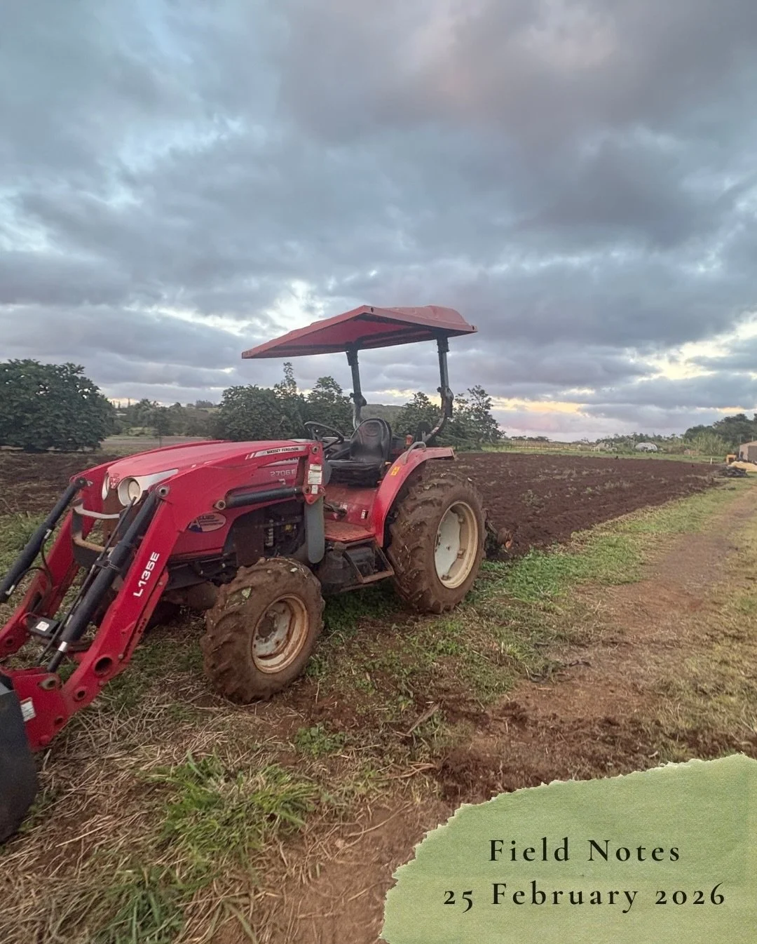 Field Notes
25 February 2026:

Discing of the field. Breaking up compacted soil structure, incorporating plant material (organic matter) back into the soil.