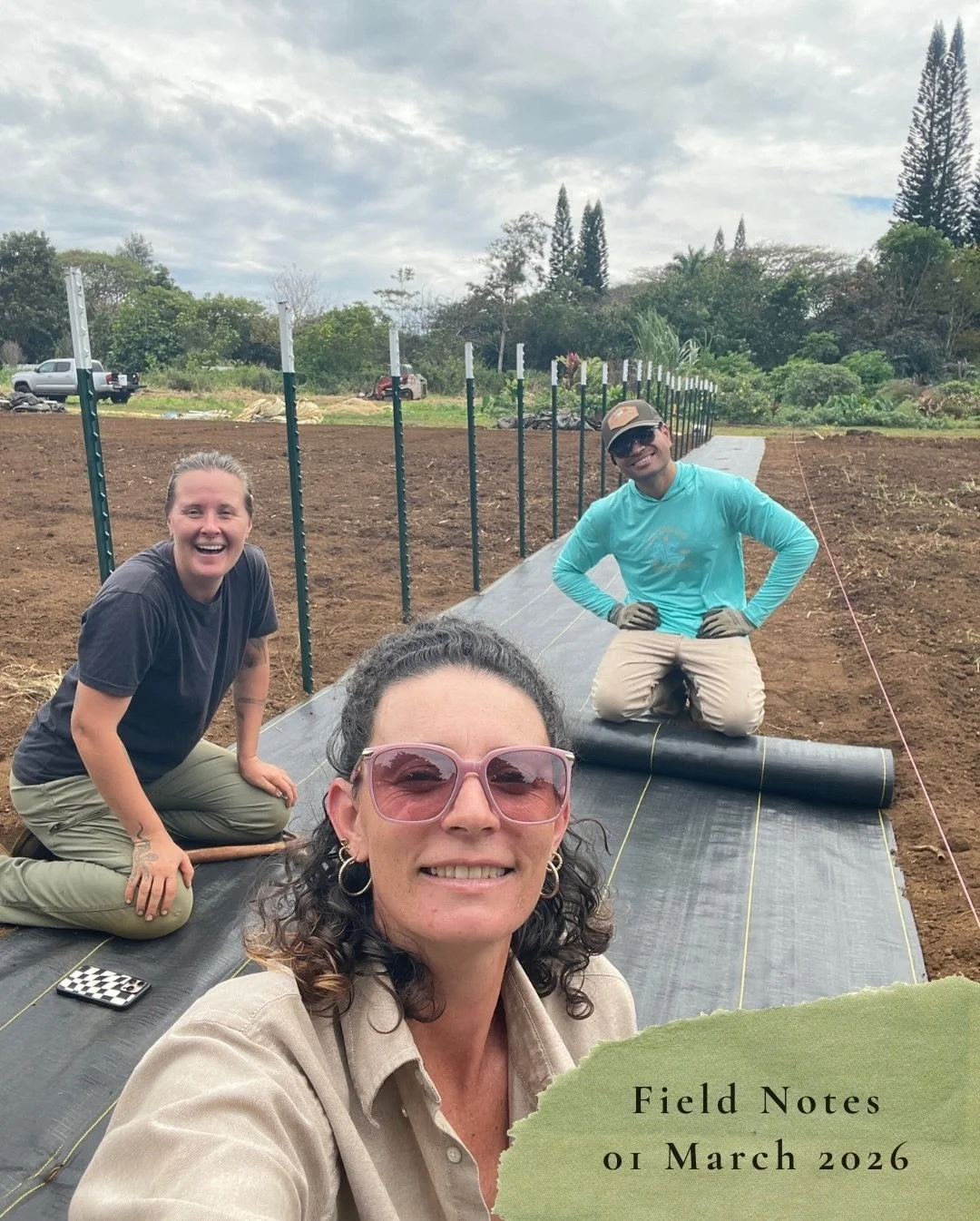 Field Notes
01 March 2026:

The other half of the field has been tilled. T-posts have been set for half the field with rows set for planting and walkways. Tamped down and ground-clothed the center walkway splitting the field in half down the middle.
