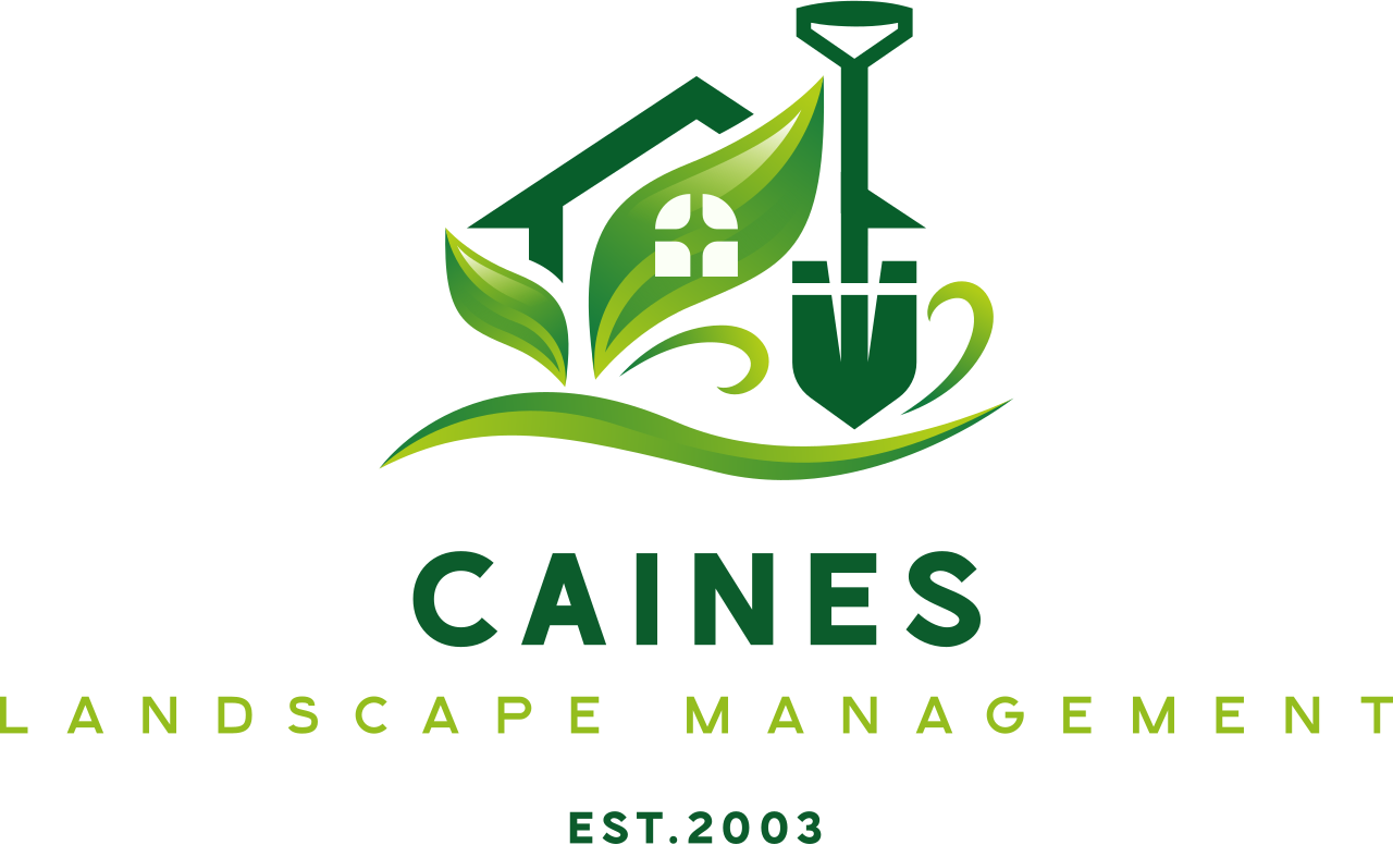 Caines Landscape