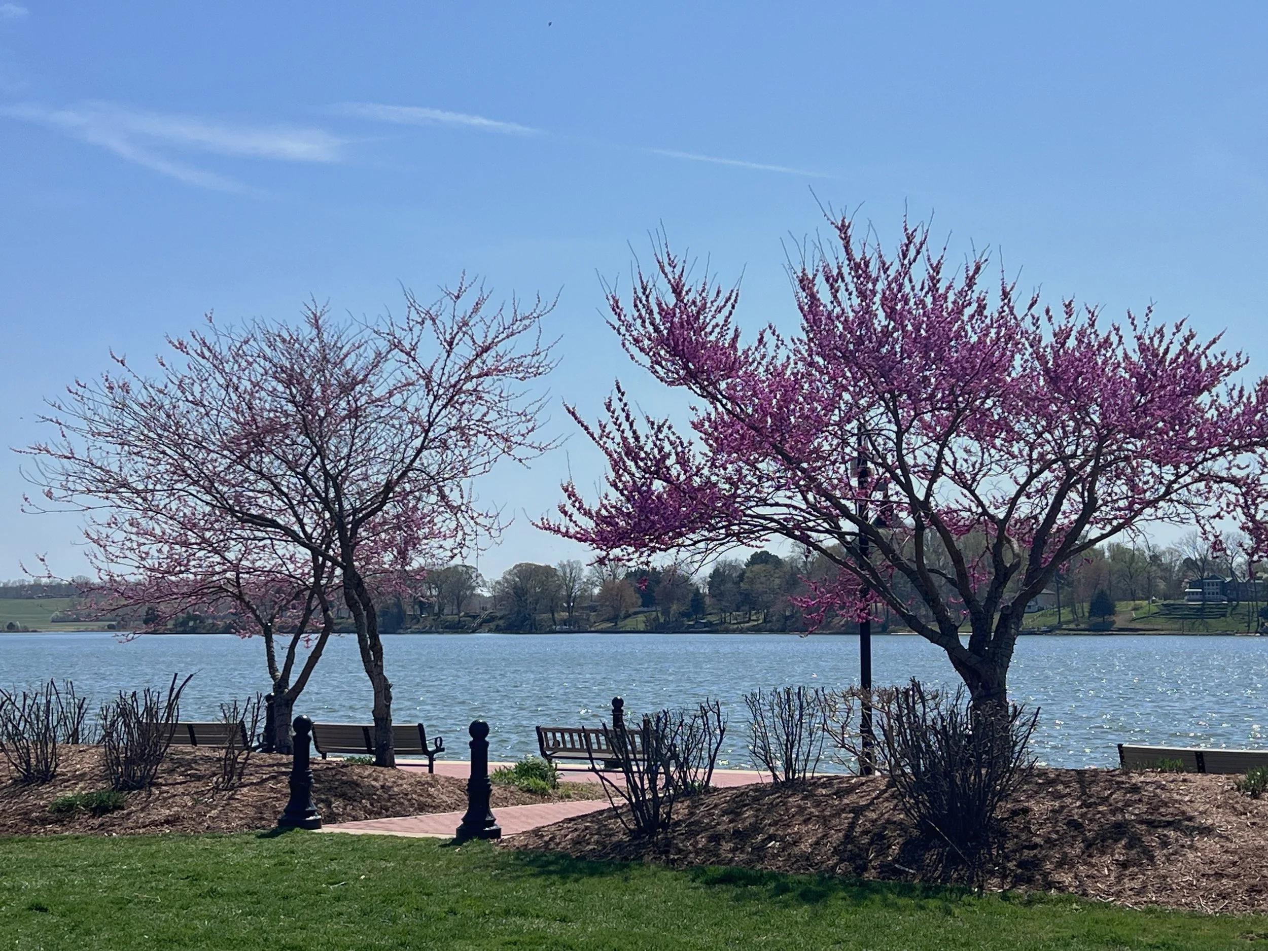 Waterfront view in Leonardtown Maryland