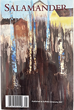 Cover of a book titled 'Salamander' with an abstract painting of a cityscape in the background.