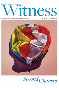 Cover of Witness magazine featuring a crumpled, colorful, deflated balloon in red, yellow, white, and blue on a pink background.