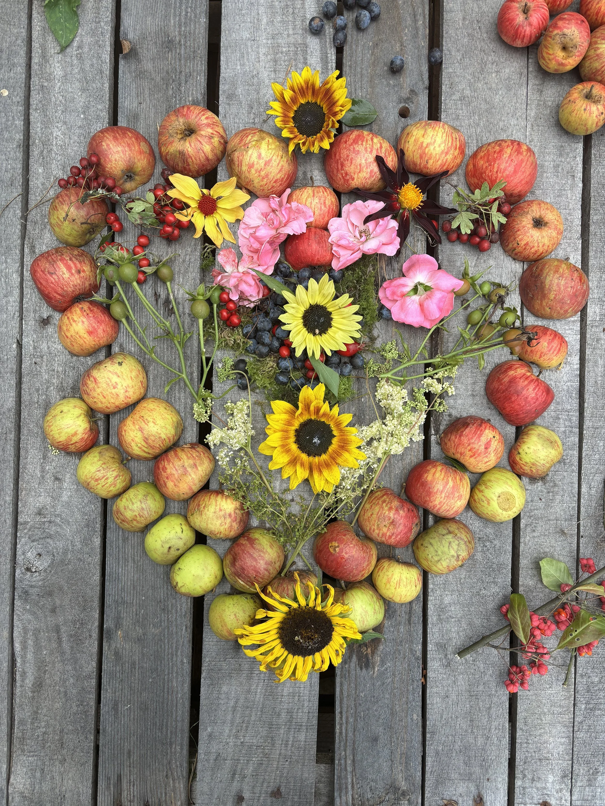 Arrangement of apples, flowers, and berries on a wooden surface.