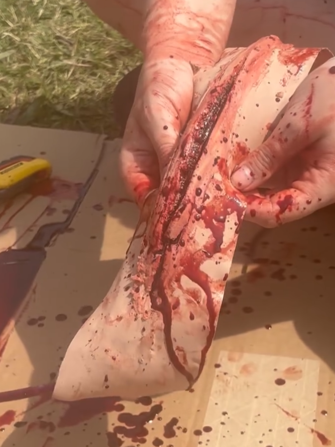 Test with Fake Blood and Scarwax