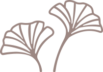 Simple line drawing of two fan-shaped ginko leaves.