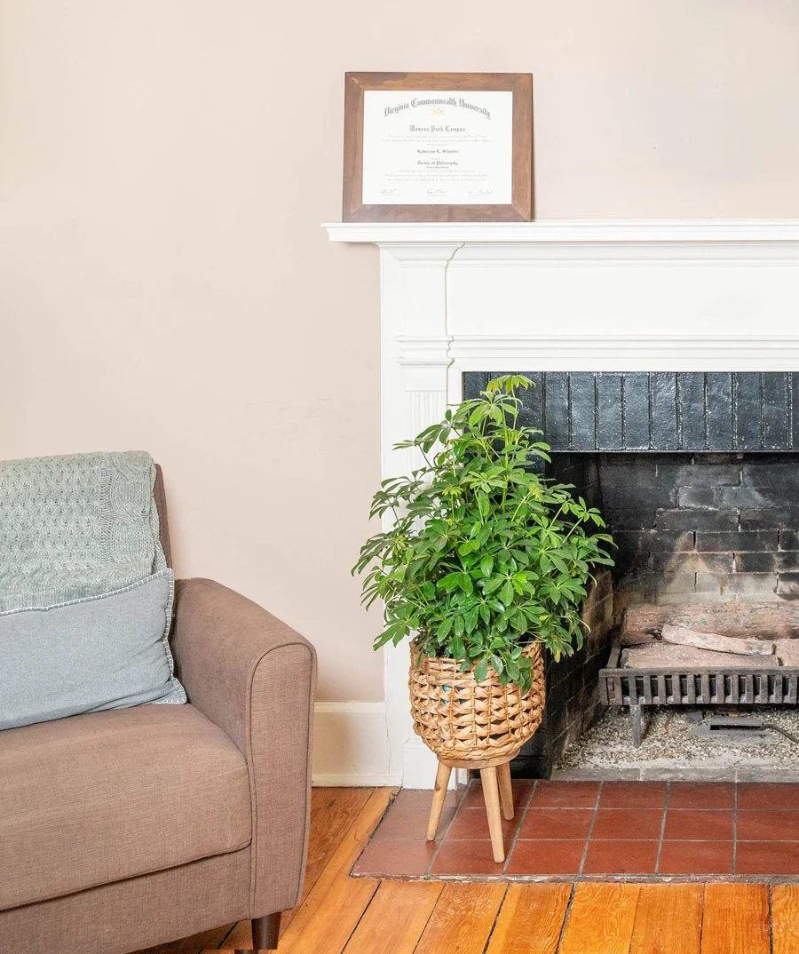 Therapist office with beige wall, framed doctoral degree on fireplace mantle, green houseplant in a basket next to a comfortable brown sofa with light blue pillow, hardwood floor, and a cozy fireplace.