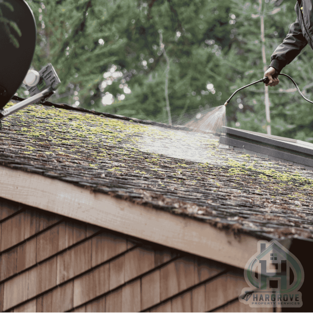 Roof-Soft-Washing-Algae-Removal-Local-Fletcher-Arden-Asheveille-NC