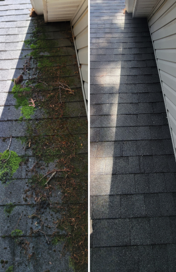 Roof soft washing in arden NC