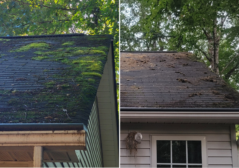 Roof soft washing in fletcher nc