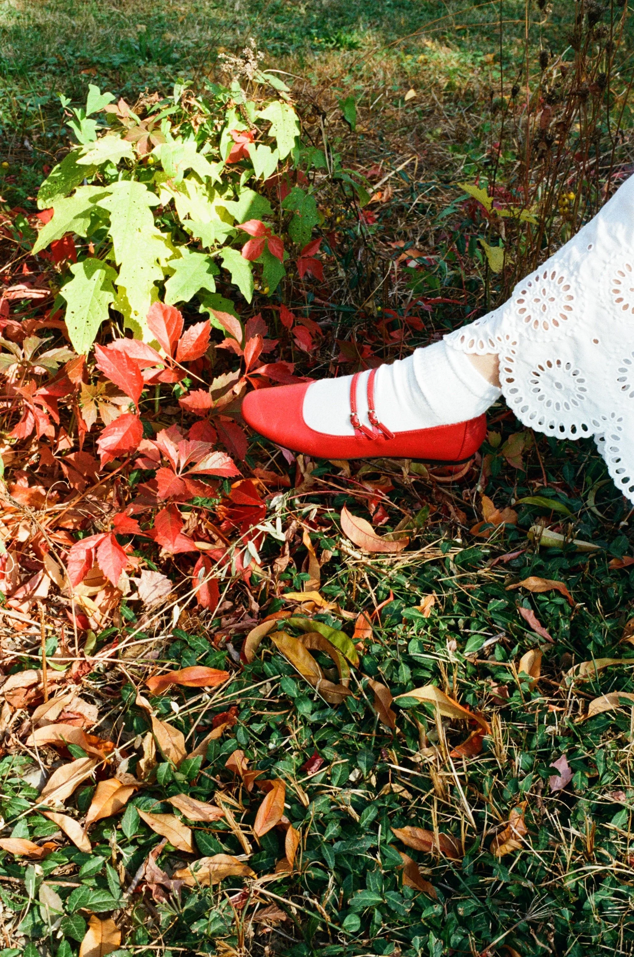 Close-up of a person wearing a white dress with eyelet patterns, red shoes, and white socks, stepping over autumn leaves and greenery on the ground.