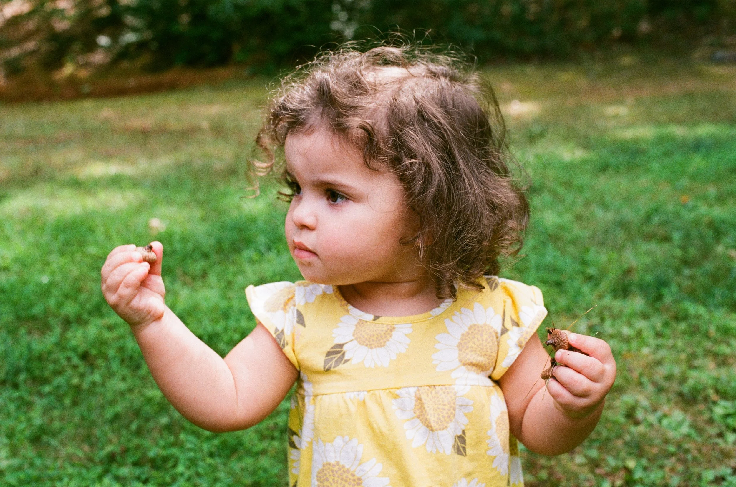 Young girl with curly hair in a yellow dress with daisies, standing in a green grassy area, holding a small object in her left hand and looking at it with curiosity.