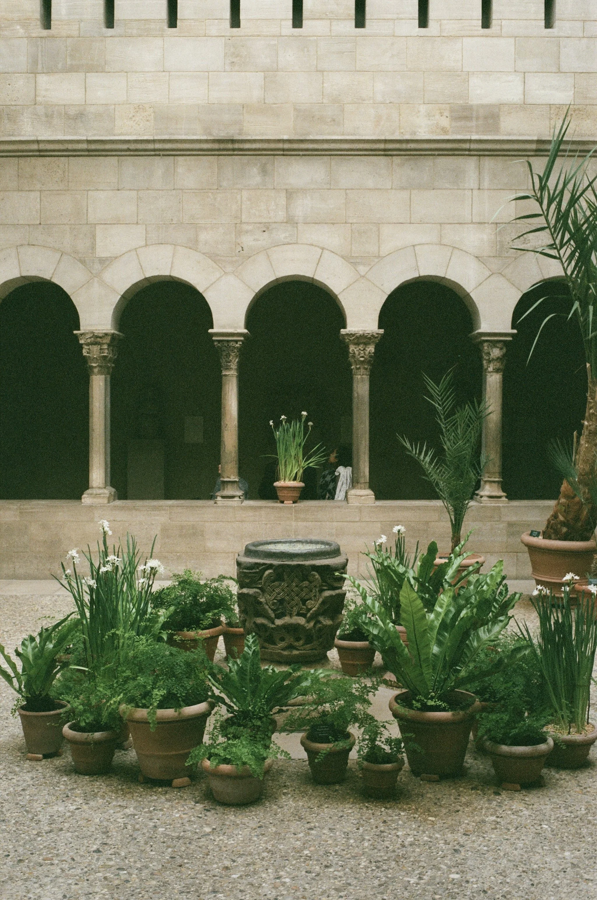 Indoor courtyard with potted plants, stone fountain, and classical arches with columns.