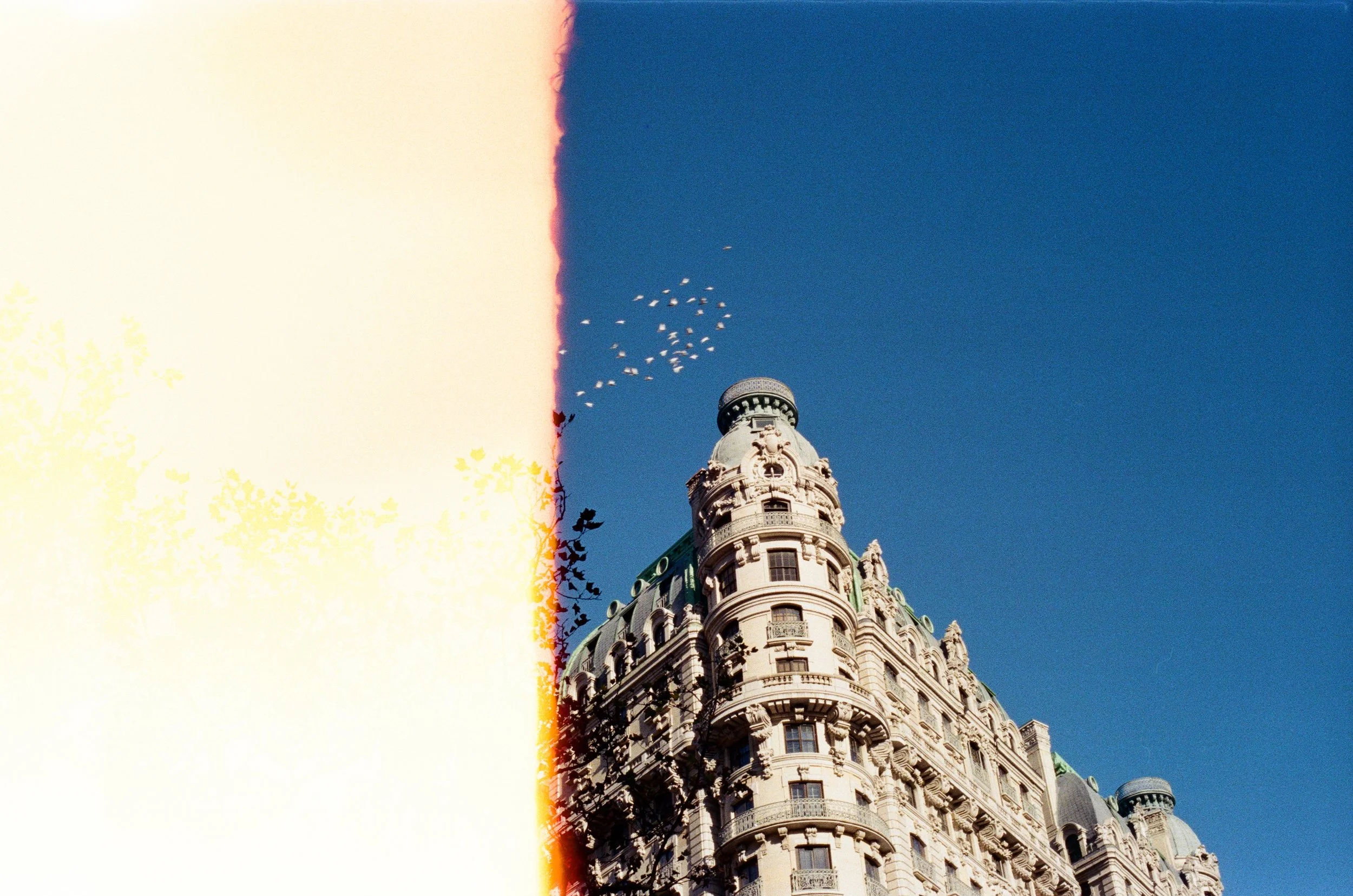 A tall ornate building with a rounded tower top against a clear blue sky, with a flock of birds flying nearby.
