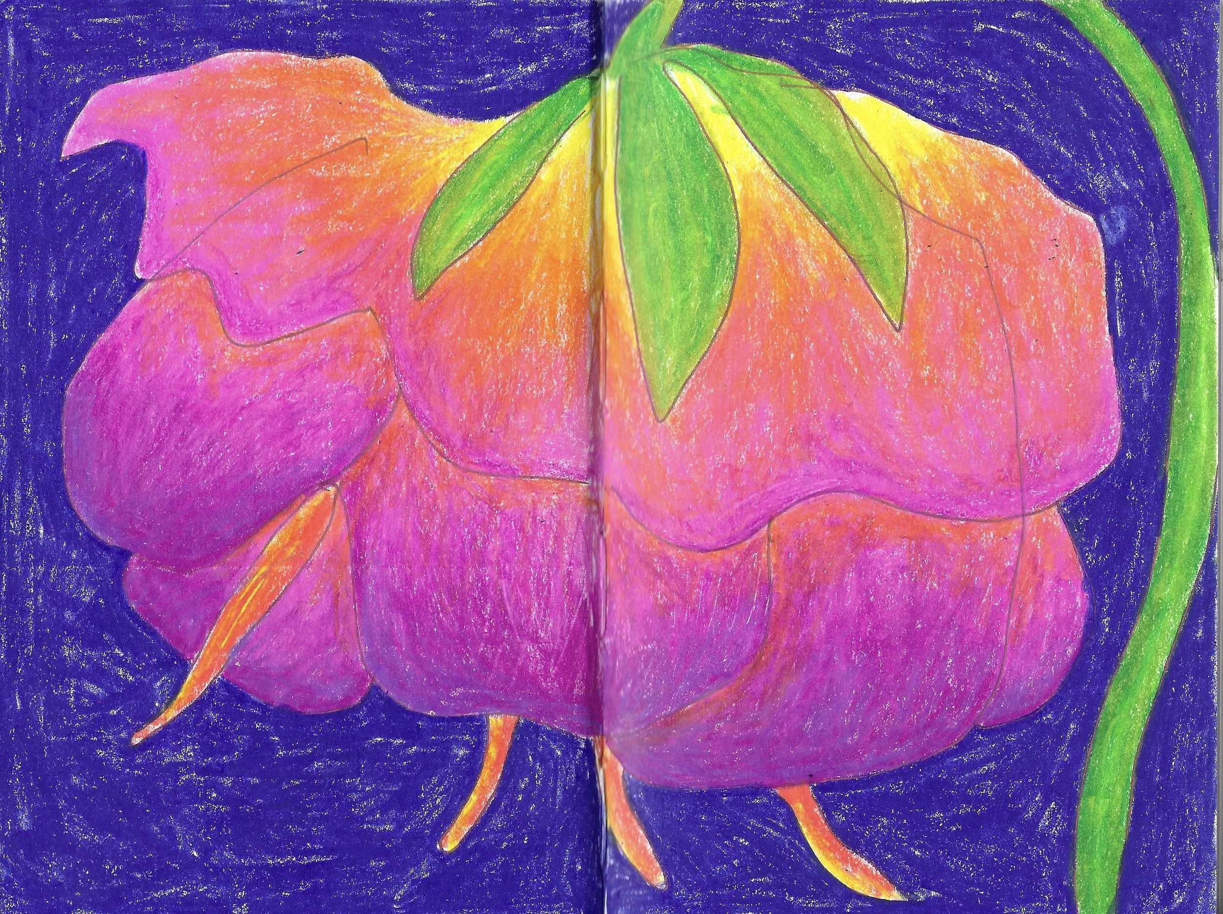 flower pencil crayon .jpg