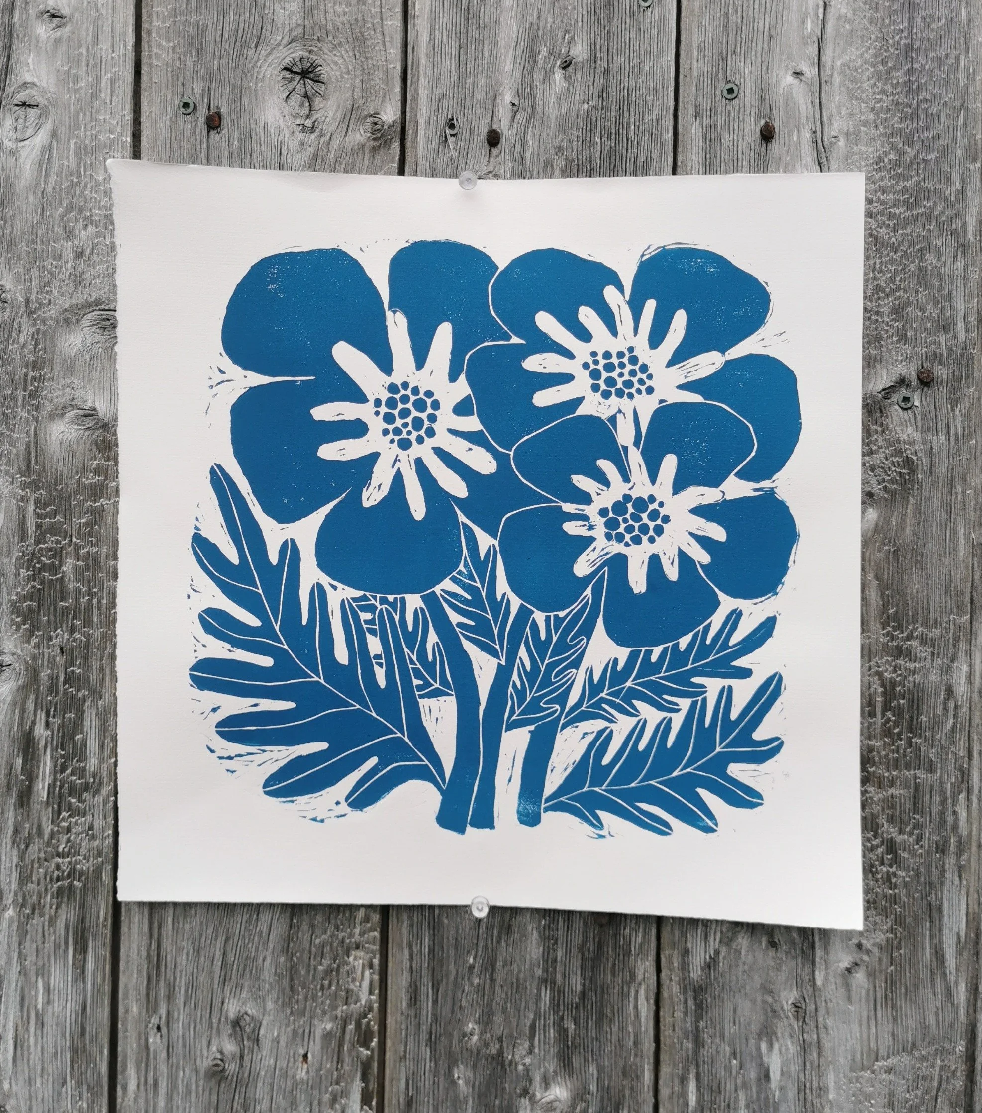 blue flower on wood_edited.jpg