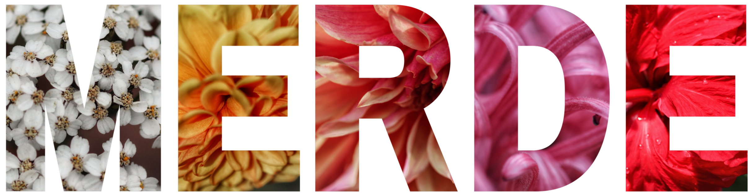 Letters saying "merde" with flowers inside.