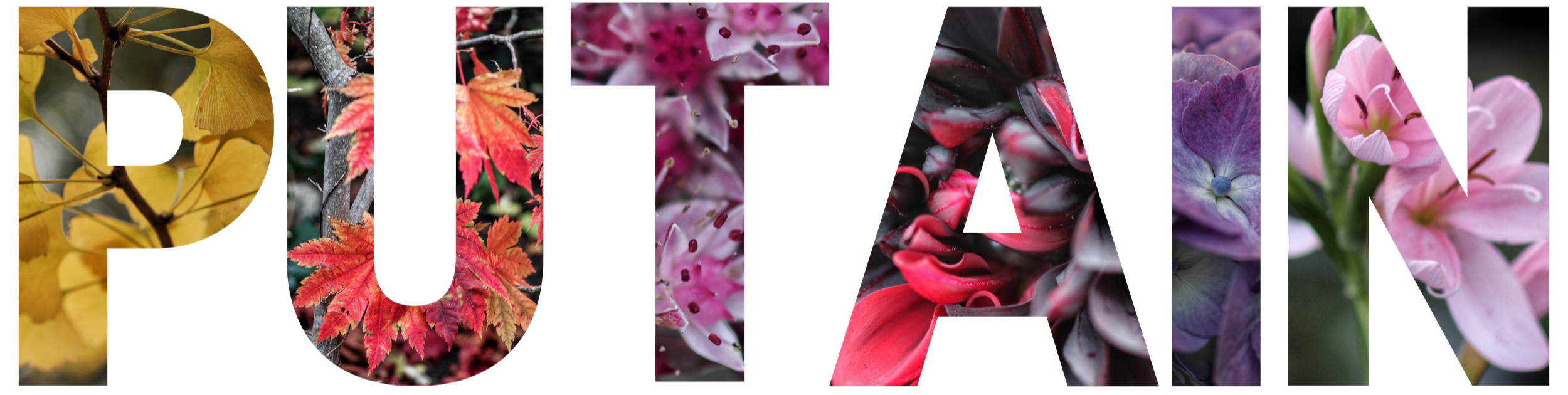 Letters saying "putain" with flowers inside.