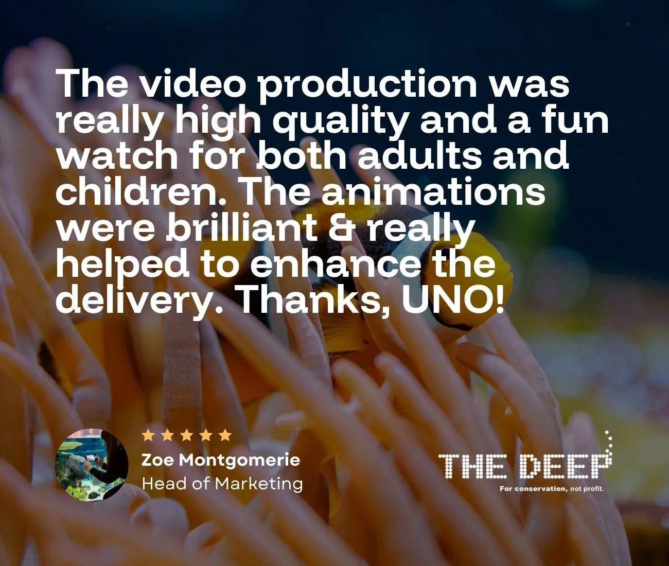Testimonial about a video production and campaign services in Doncaster, written by The DEEP, UK's largest indoor aquarium